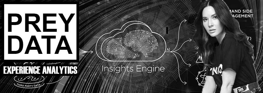 Insights Engine: Go beyond Transactions data: Gauge the Customer Intent
